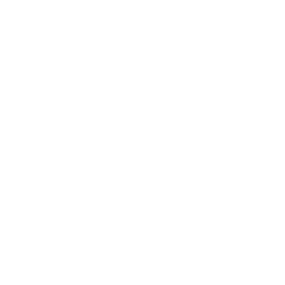 Brain icon