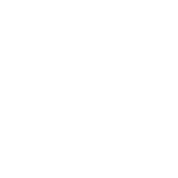 energy icon